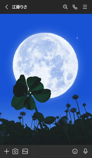 [LINE着せ替え] 七つ葉のクローバー & Full Moon #1-50の画像2