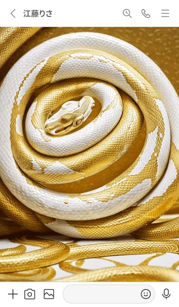 [LINE着せ替え] 金運上昇 黄金と白蛇 幸運の27の画像2