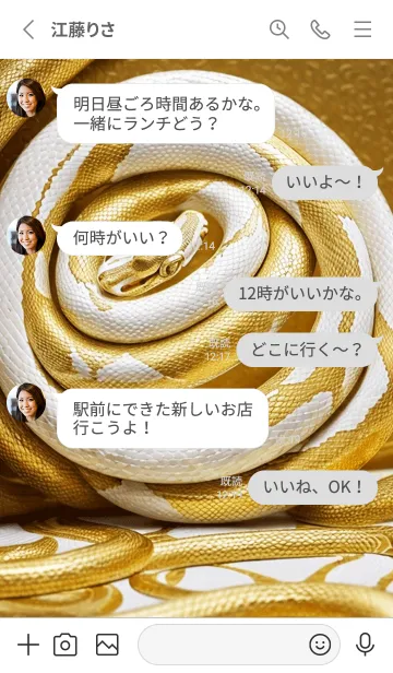 [LINE着せ替え] 金運上昇 黄金と白蛇 幸運の27の画像3