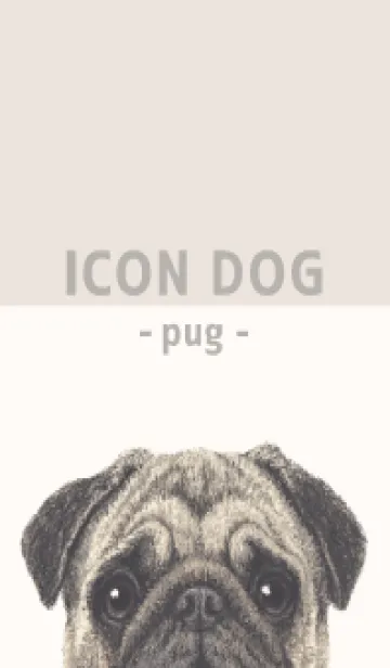 [LINE着せ替え] ICON DOG - パグ - BEIGE/06の画像1