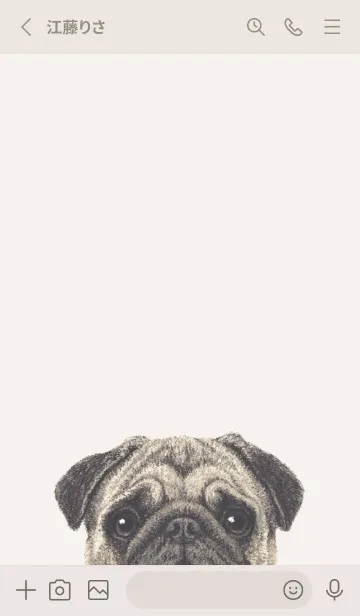 [LINE着せ替え] ICON DOG - パグ - BEIGE/06の画像2