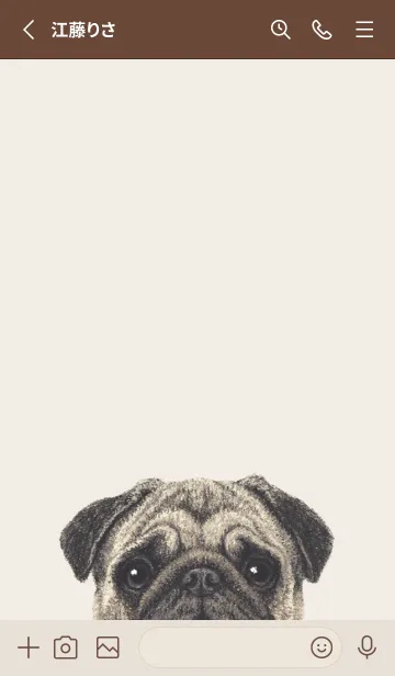 [LINE着せ替え] ICON DOG - パグ - BROWN/06の画像2