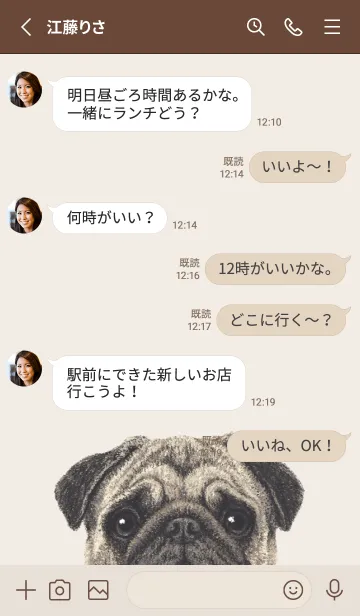[LINE着せ替え] ICON DOG - パグ - BROWN/06の画像3