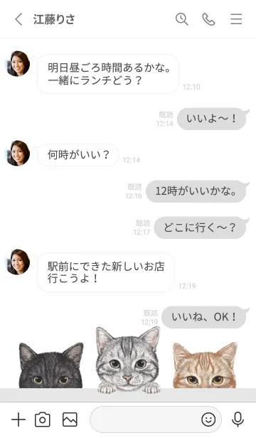 [LINE着せ替え] 猫 - アメショ - 白×灰色の画像3