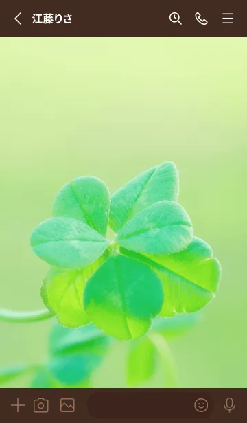 [LINE着せ替え] 七つ葉のクローバー 無限の幸福 #6-14の画像2