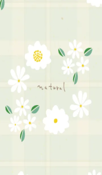[LINE着せ替え] 白い小花 キュート5の画像1