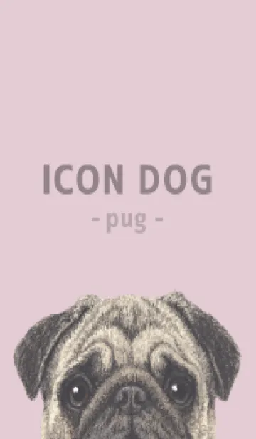 [LINE着せ替え] ICON DOG - パグ - PASTEL PK/06の画像1