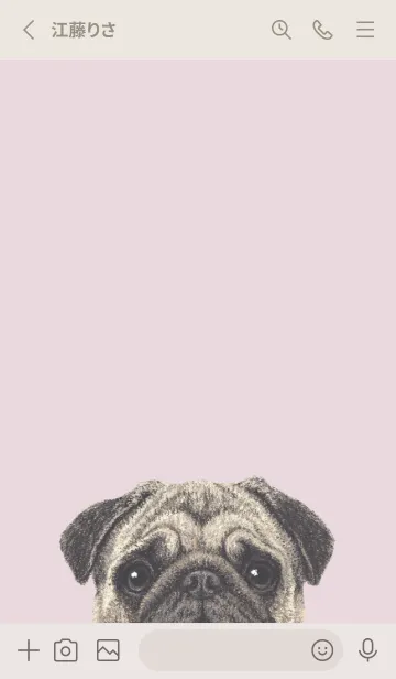 [LINE着せ替え] ICON DOG - パグ - PASTEL PK/06の画像2