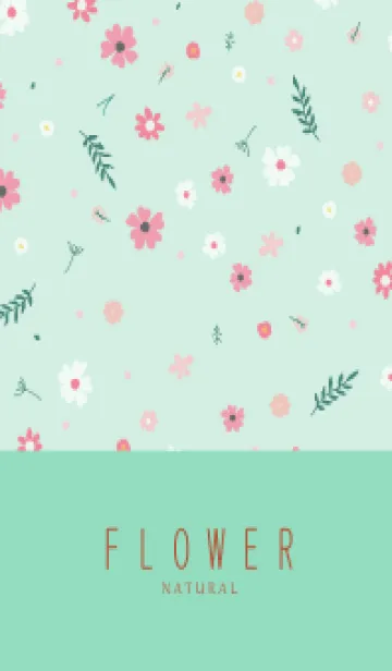 [LINE着せ替え] FLOWER MINT GREEN -NATURAL-30の画像1