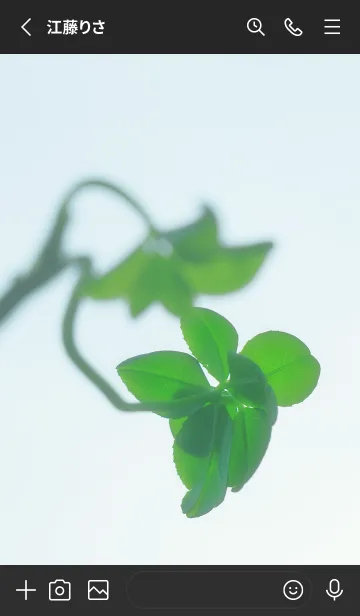 [LINE着せ替え] 七つ葉のクローバー 無限の幸福 #10-14の画像2