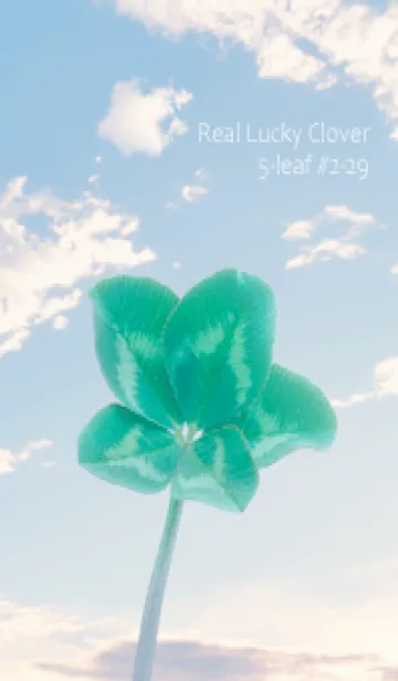 [LINE着せ替え] 本物ラッキークローバー 5-leaf #2-29の画像1