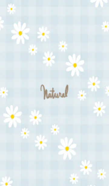 [LINE着せ替え] デイジー 斜め2の画像1