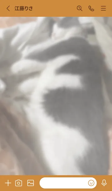 [LINE着せ替え] rinrin123の画像2