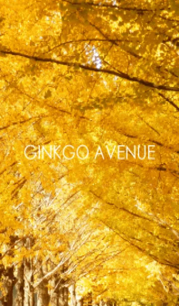 [LINE着せ替え] GINKGO AVENUEの画像1