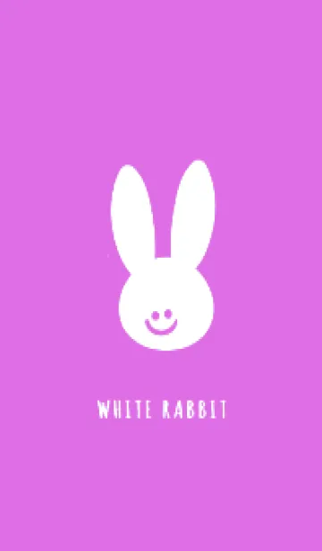 [LINE着せ替え] ホワイト ラビット 232の画像1