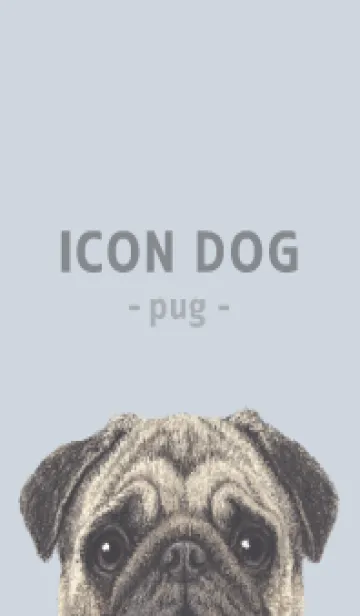 [LINE着せ替え] ICON DOG - パグ - PASTEL BL/06の画像1