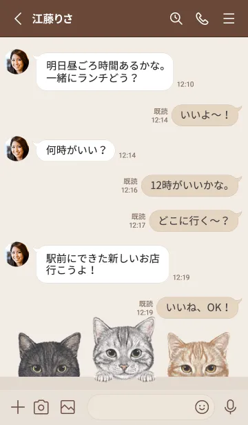 [LINE着せ替え] 猫 - アメショ - 茶色の画像3