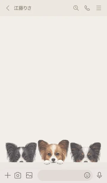 [LINE着せ替え] ワンワン - パピヨン - パステルアイボリーの画像2