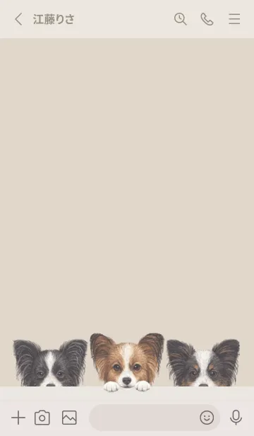 [LINE着せ替え] ワンワン！- パピヨン - パステルブラウンの画像2