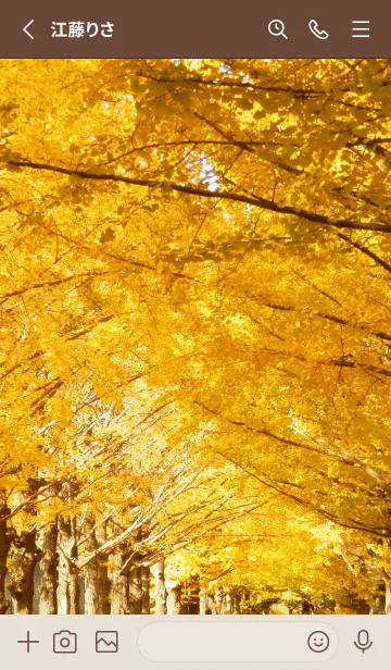[LINE着せ替え] GINKGO AVENUE 2の画像2