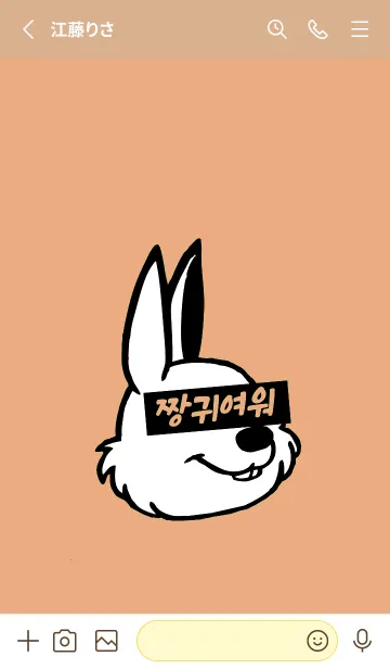 [LINE着せ替え] コリアン ラビット 83の画像2