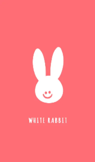 [LINE着せ替え] ホワイト ラビット 234の画像1