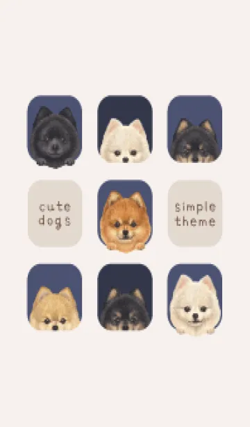 [LINE着せ替え] DOGS - ポメラニアン - 紺色の画像1