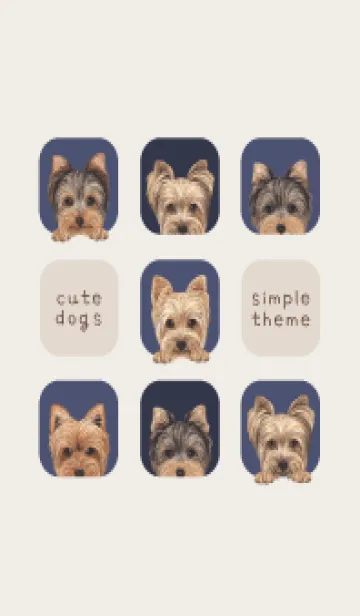 [LINE着せ替え] DOGS - ヨーキー - 紺色の画像1