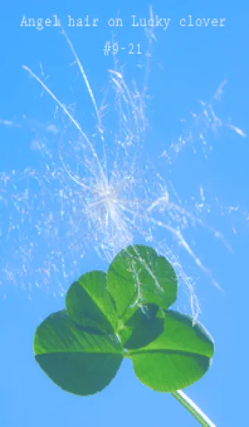 [LINE着せ替え] 幸運の妖精ケサランパサラン #9-21の画像1