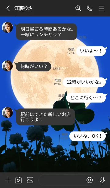 [LINE着せ替え] 七つ葉のクローバー & Full Moon #3-2の画像3