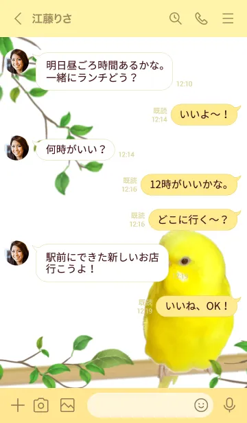 [LINE着せ替え] ルチノーインコの画像3