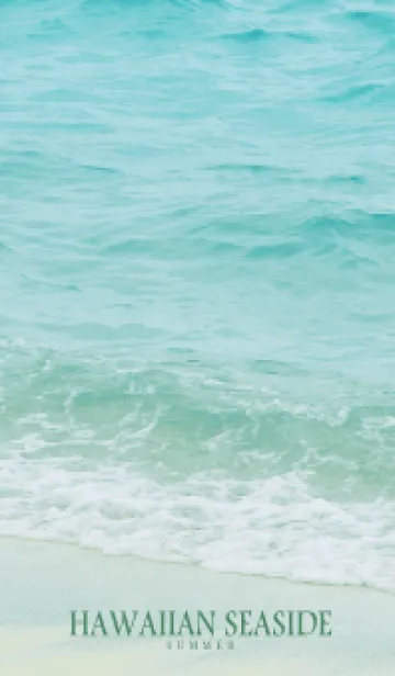 [LINE着せ替え] HAWAIIAN SEASIDE - HAWAII 23の画像1