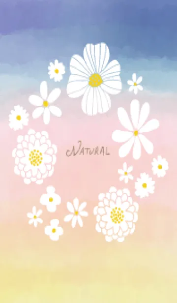 [LINE着せ替え] 白い花のリース 水彩20の画像1