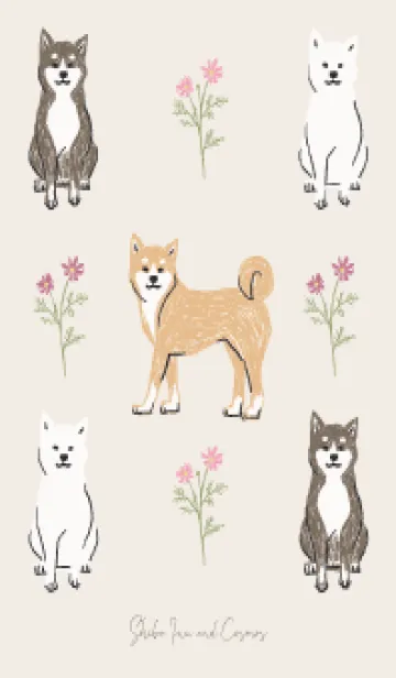 [LINE着せ替え] 柴犬とコスモスの画像1