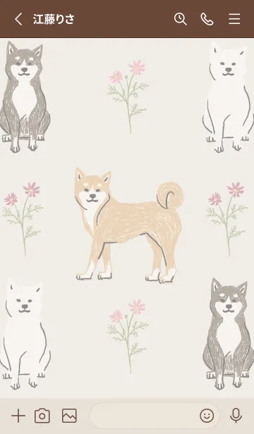 [LINE着せ替え] 柴犬とコスモスの画像2