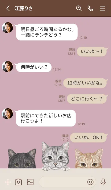 [LINE着せ替え] 猫 - アメショ - ダスティローズピンクの画像3