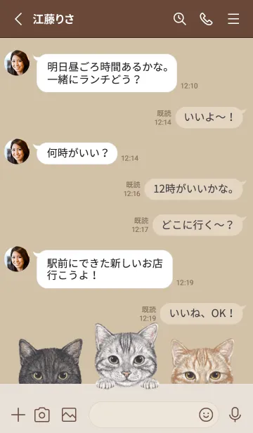 [LINE着せ替え] 猫 - アメショ - ダスティベージュの画像3