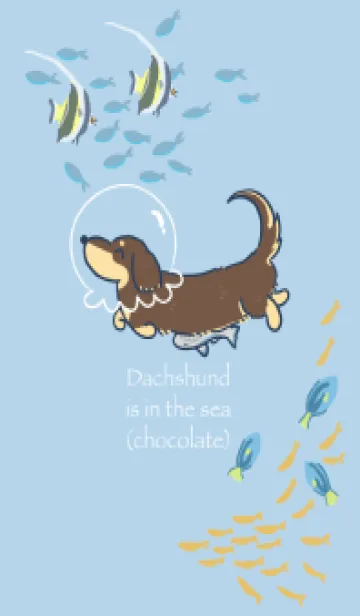 [LINE着せ替え] Dachshund is in the sea(chocolate)の画像1