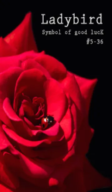 [LINE着せ替え] Ladybird Symbol of good luck #5-36の画像1
