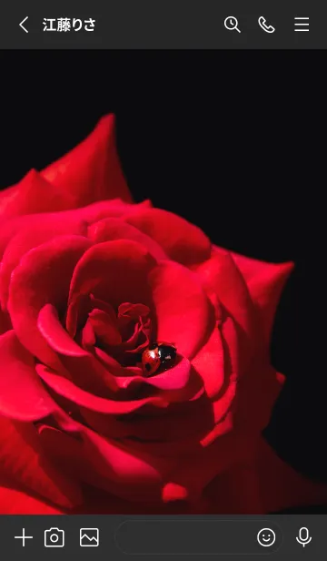 [LINE着せ替え] Ladybird Symbol of good luck #5-36の画像2