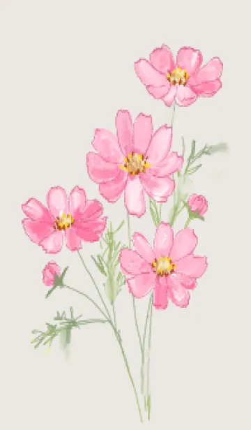 [LINE着せ替え] コスモス 乙女の純潔の画像1