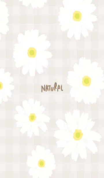 [LINE着せ替え] 白いマーガレット シンプル21の画像1