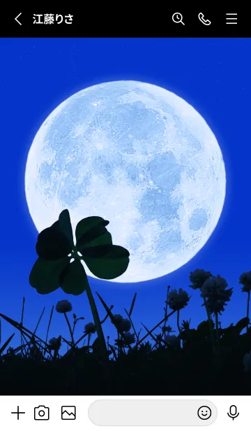 [LINE着せ替え] 七つ葉のクローバー & Full Moon #2-4の画像2