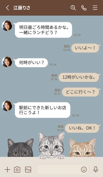 [LINE着せ替え] 猫 - アメショ - ダスティブルーの画像3