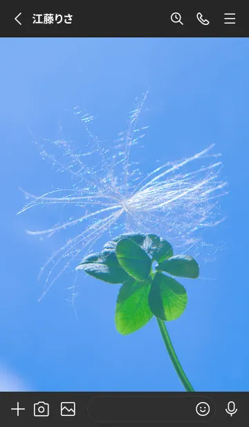 [LINE着せ替え] ケサランパサラン&七つ葉クローバー #5-12の画像2