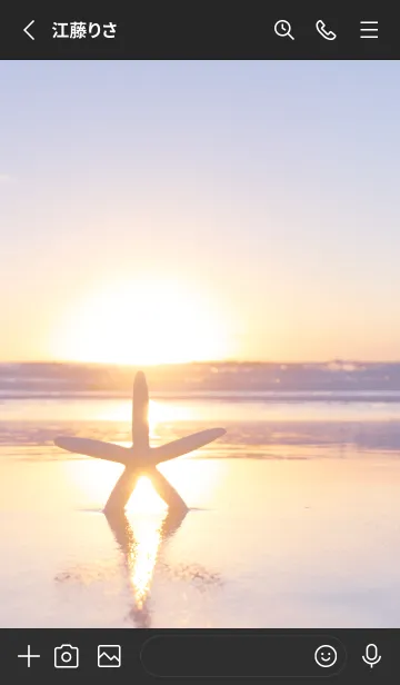 [LINE着せ替え] BeachStar 14の画像2