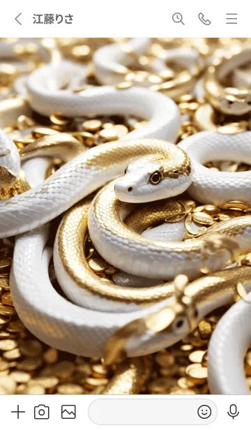 [LINE着せ替え] 金運上昇 黄金と白蛇 幸運の46の画像2