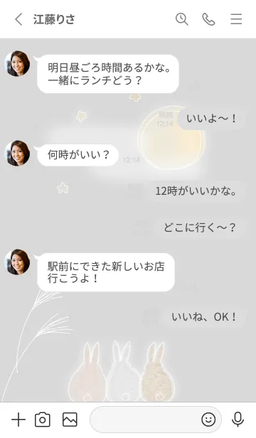 [LINE着せ替え] Gray♡月とうさぎ01_1の画像3