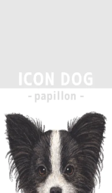 [LINE着せ替え] ICON DOG - パピヨン - GRAY/01の画像1