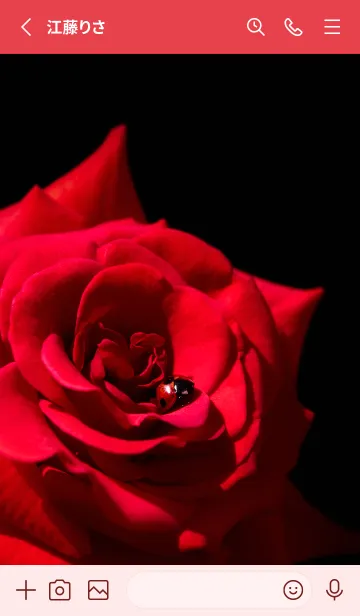 [LINE着せ替え] Ladybird Symbol of good luck #5-37の画像2